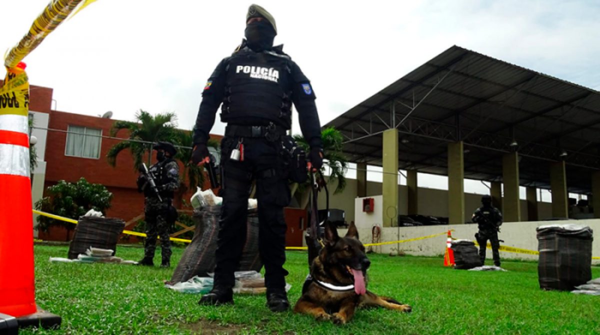 Noticia: Perro policía identificó 3,7 toneladas de droga en Guayaquil Perro policía identificó 3,7 toneladas de droga en Guayaquil