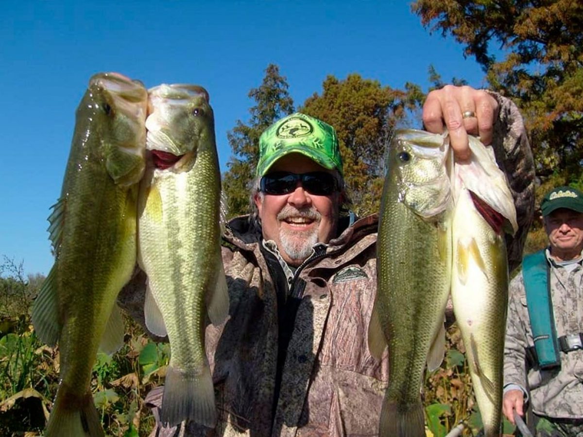 Noticia: Peces caen del cielo en Texas: "No es una broma" Peces caen del cielo en Texas: "No es una broma"