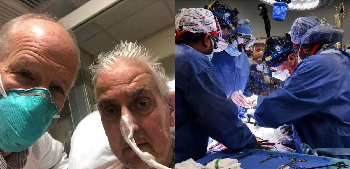 Noticia: Muere en EE.UU. el primer paciente que recibió un trasplante de corazón de cerdo Muere en EE.UU. el primer paciente que recibió un trasplante de corazón de cerdo