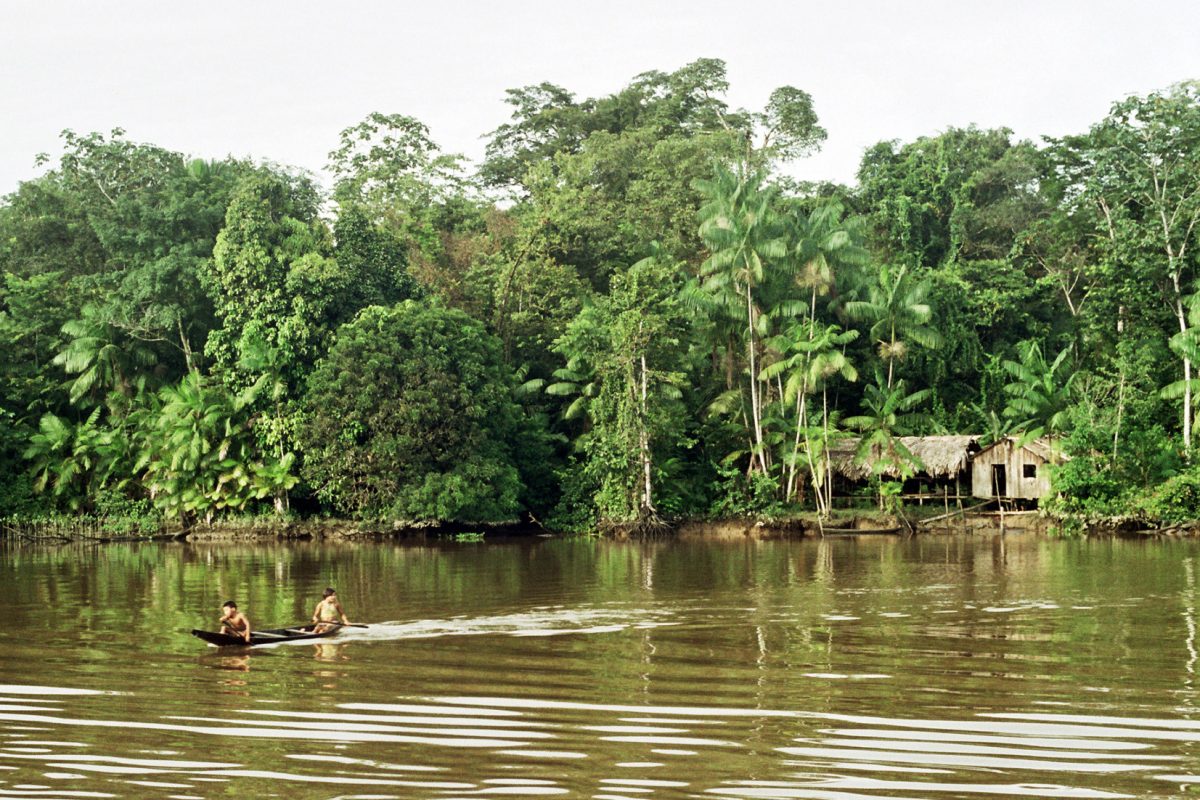 Noticia: Dos niños que sobrevivieron 1 mes perdidos en el Amazonas Dos niños que sobrevivieron 1 mes perdidos en el Amazonas