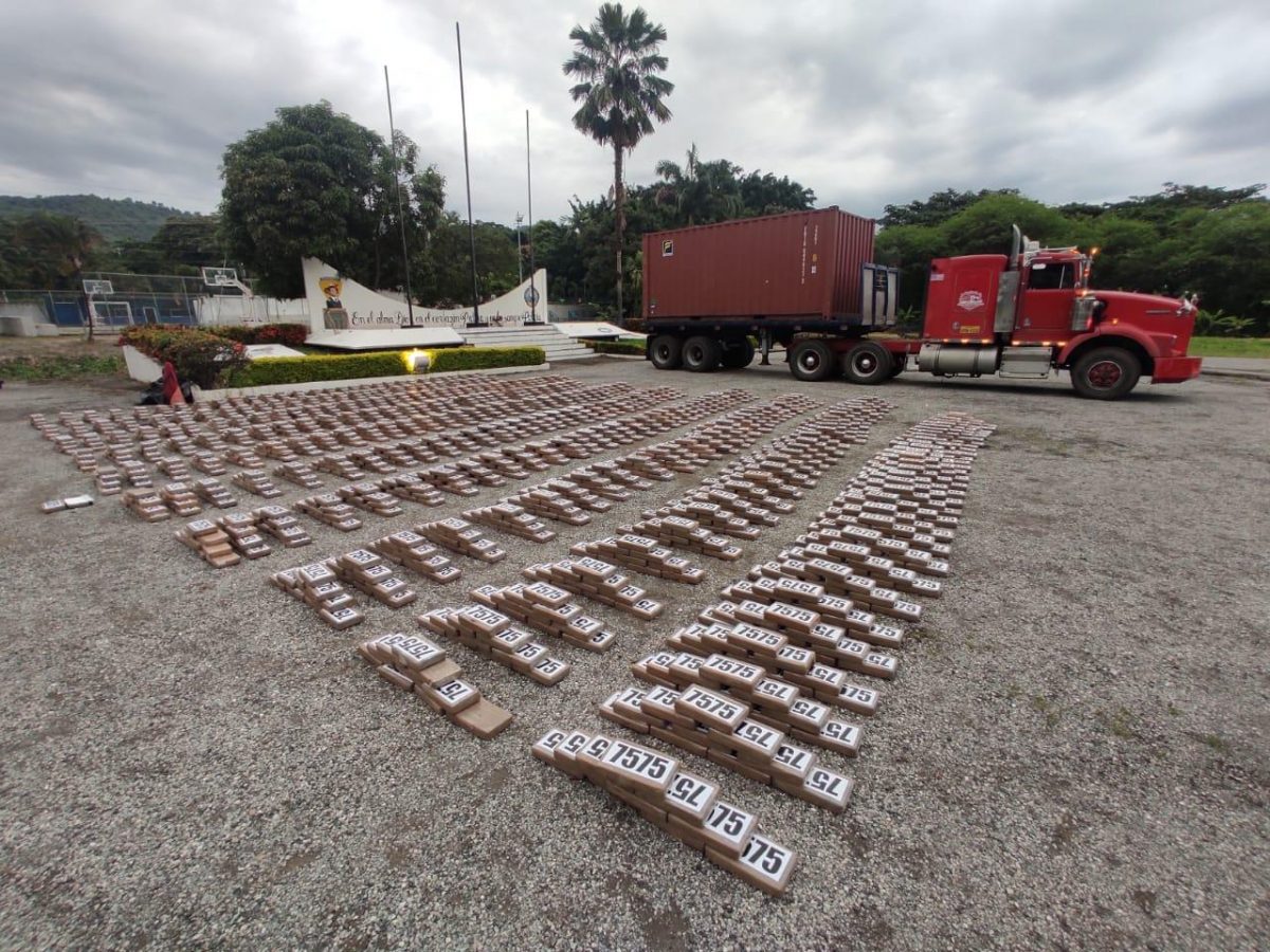 Noticia: Se decomisaron 3,15 toneladas de droga y detuvo a 15 personas Se decomisaron 3,15 toneladas de droga y detuvo a 15 personas