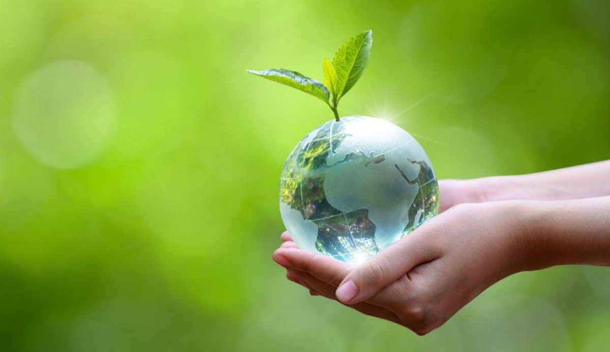 Noticia: Hoy se celebra el Día Mundial de la Tierra Hoy se celebra el Día Mundial de la Tierra