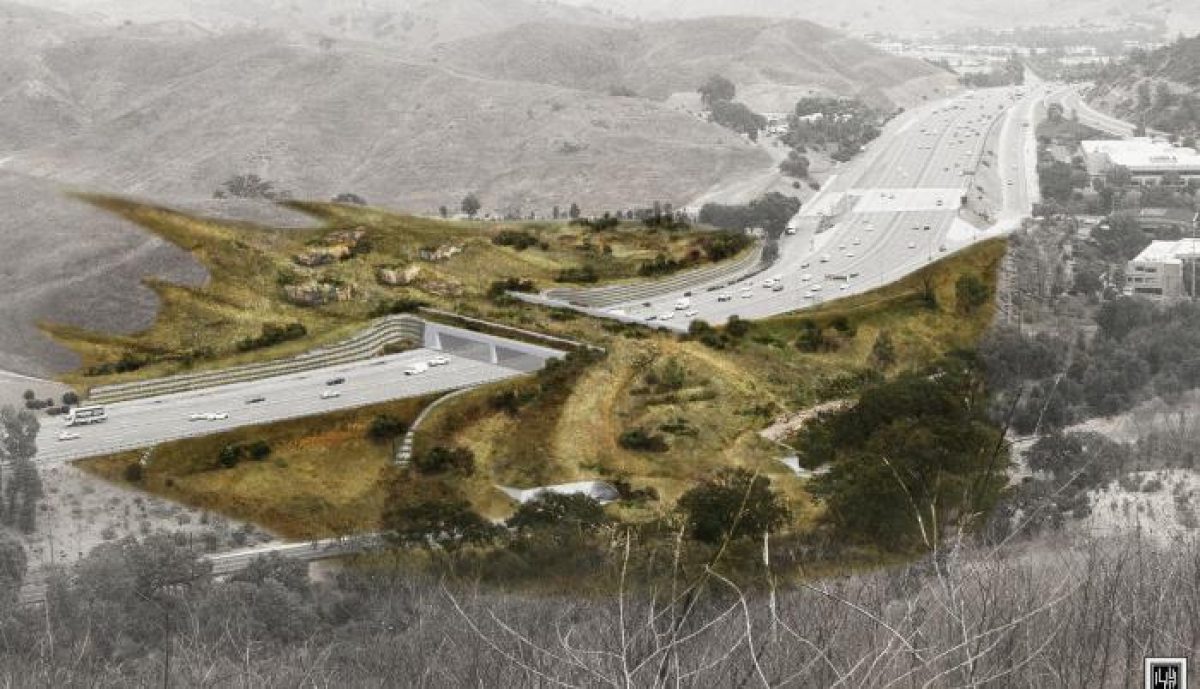 Noticia: Inicia la construcción del puente silvestre más grande del mundo en California Inicia la construcción del puente silvestre más grande del mundo en California