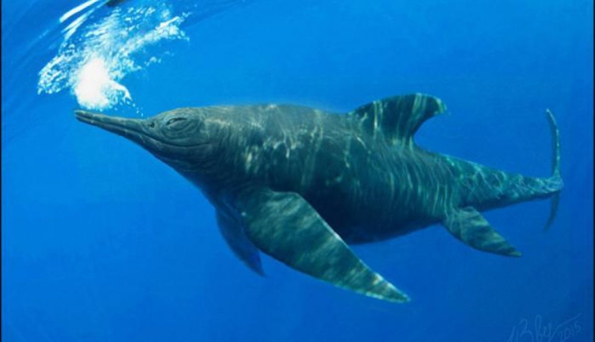 Noticia: Encuentran en un glaciar de Chile a “Fiona”, el primer ictiosaurio completo Encuentran en un glaciar de Chile a “Fiona”, el primer ictiosaurio completo