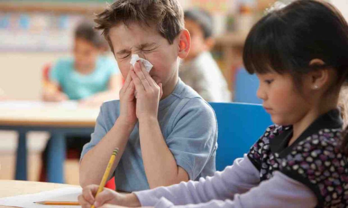 Noticia: La OPS pide mayor vigilancia debido al aumento de casos por influenza La OPS pide mayor vigilancia debido al aumento de casos por influenza