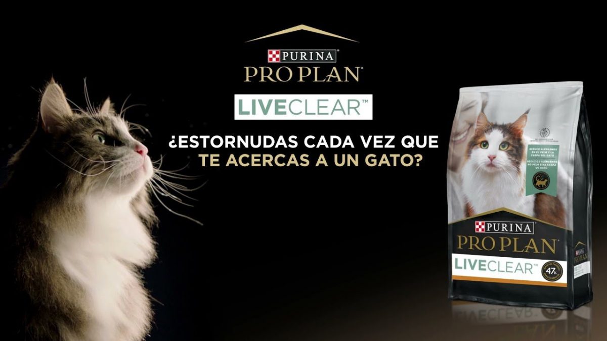 Noticia: Conoce el Pro Plan Live Clear de Purina, producto que contrarresta el 47% de alérgenos en gatos Conoce el Pro Plan Live Clear de Purina, producto que contrarresta el 47% de alérgenos en gatos