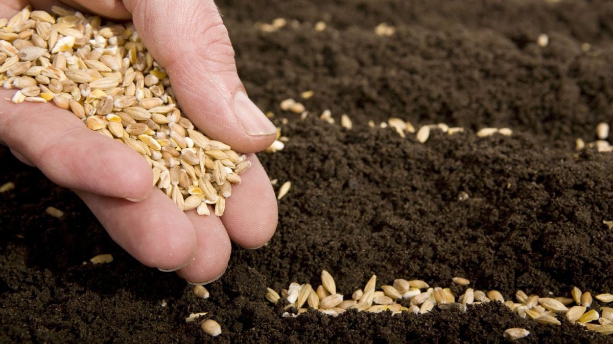 Noticia: Proyecto del Ministerio de Agricultura beneficiará a más de 20 mil productores Proyecto del Ministerio de Agricultura beneficiará a más de 20 mil productores