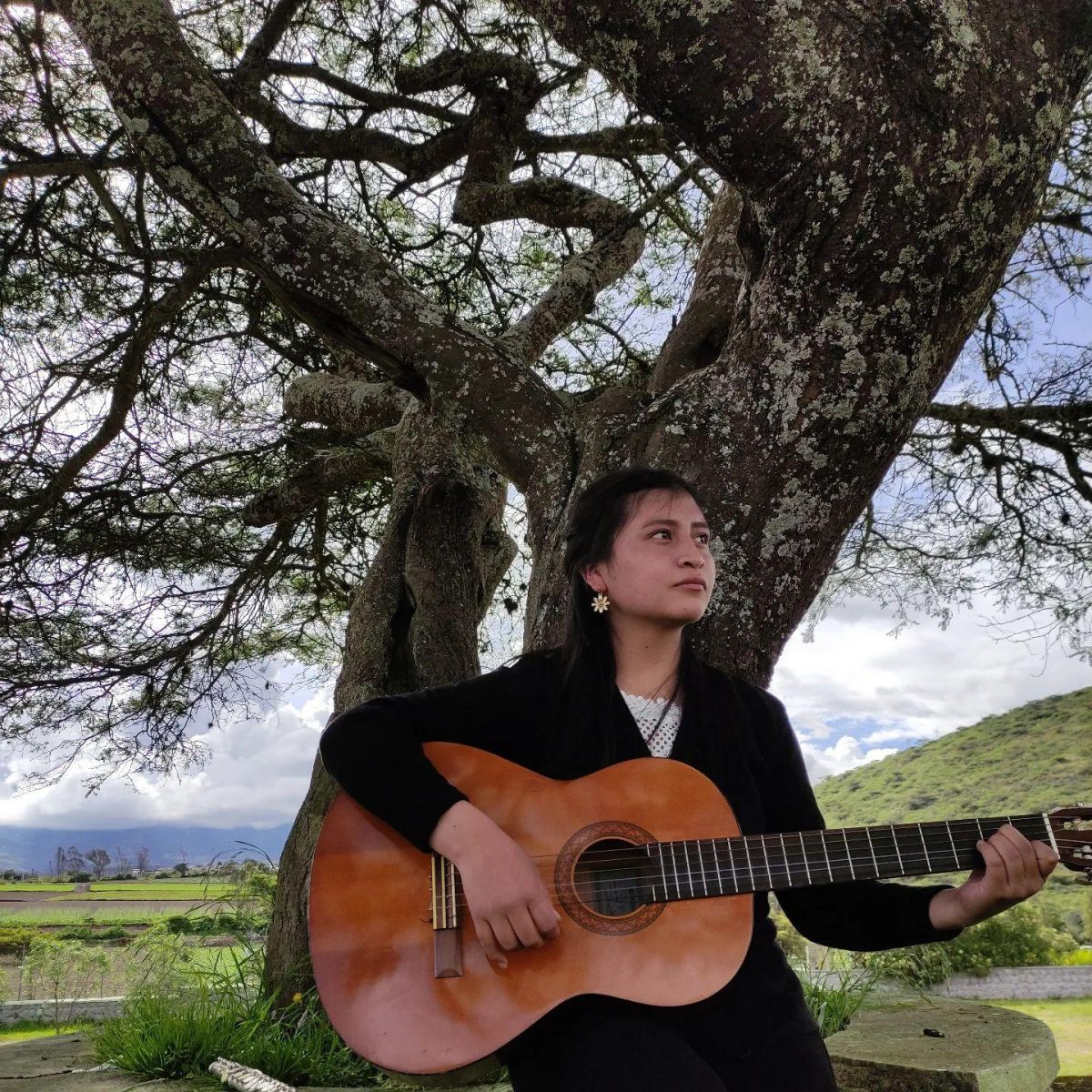 Noticia: Ñusta Picuasi: la joven ecuatoriana que conquista TikTok con su voz Ñusta Picuasi: la joven ecuatoriana que conquista TikTok con su voz