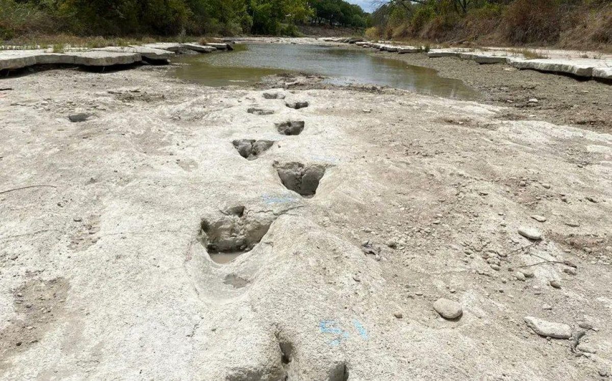 Noticia: Queda al descubierto huellas de 113 millones de años hechas por dinosaurios Queda al descubierto huellas de 113 millones de años hechas por dinosaurios