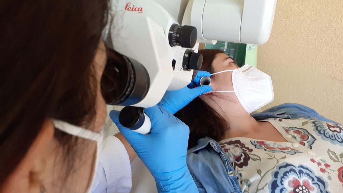 Noticia: Descubren cómo regenerar las células que permiten la audición Descubren cómo regenerar las células que permiten la audición