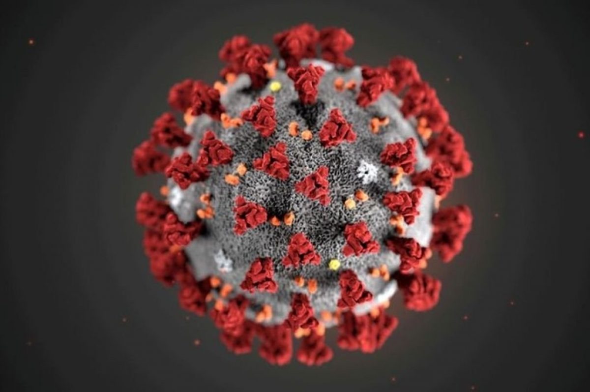 Noticia: Científicos descubren una forma de neutralizar el covid-19 en menos de un segundo Científicos descubren una forma de neutralizar el covid-19 en menos de un segundo