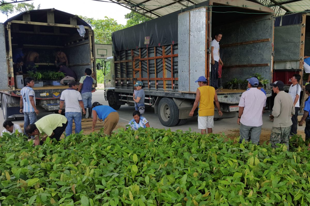 Agricultores de Napo recibirán títulos de tierra, créditos y serán parte de un convenio para el Agricultores de Napo recibirán títulos de tierra, créditos y serán parte de un convenio para el