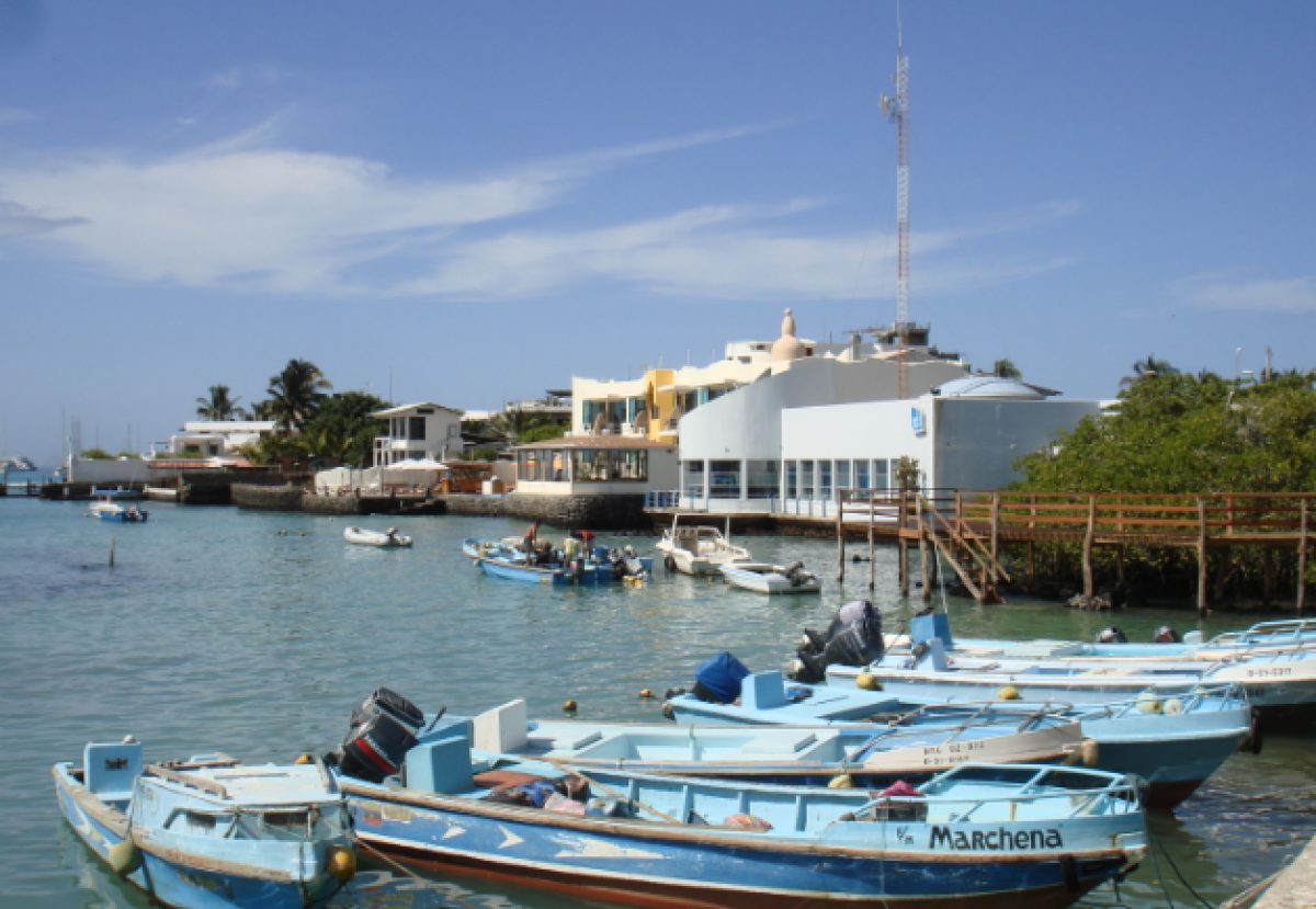Noticia: Acciones se ejecutarán en Galápagos para la reactivación económica y del turismo Acciones se ejecutarán en Galápagos para la reactivación económica y del turismo