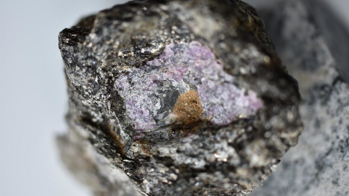 Noticia: Científicos descubren rastros de vida antigua en un rubí de 2.500 millones de años Científicos descubren rastros de vida antigua en un rubí de 2.500 millones de años