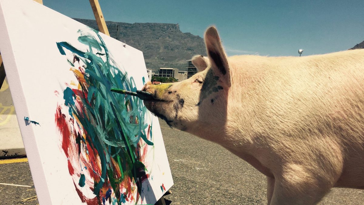 Noticia: Pigcasso, la cerda artista que tiene su propia galería y logra vender sus lienzos Pigcasso, la cerda artista que tiene su propia galería y logra vender sus lienzos