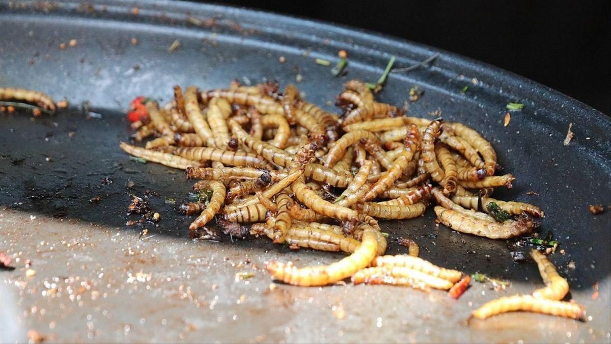 Noticia: Los humanos del futuro tendrán que comer larvas y gusanos Los humanos del futuro tendrán que comer larvas y gusanos