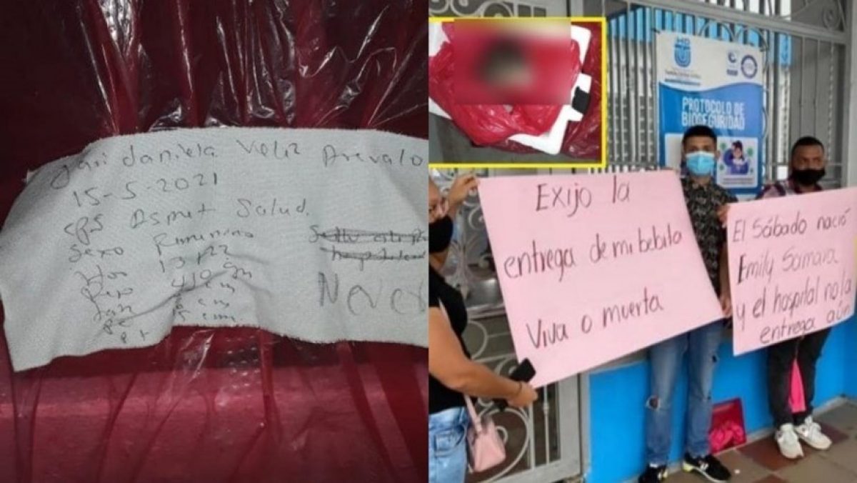 Noticia: Le entregaron una rata envuelta en lugar del cadáver de su bebé Le entregaron una rata envuelta en lugar del cadáver de su bebé