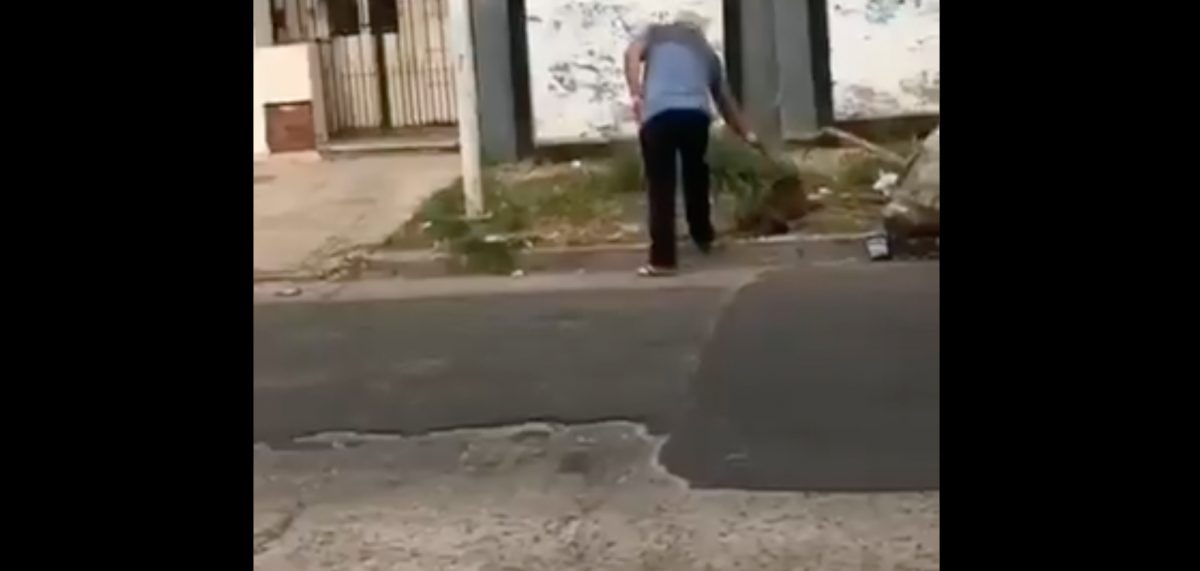 Noticia: Hombre fue captado matando a un perro callejero con una pistola Hombre fue captado matando a un perro callejero con una pistola