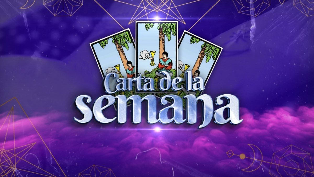 Noticia: Carta de la semana - 31 de mayo al 6 de junio Carta de la semana - 31 de mayo al 6 de junio