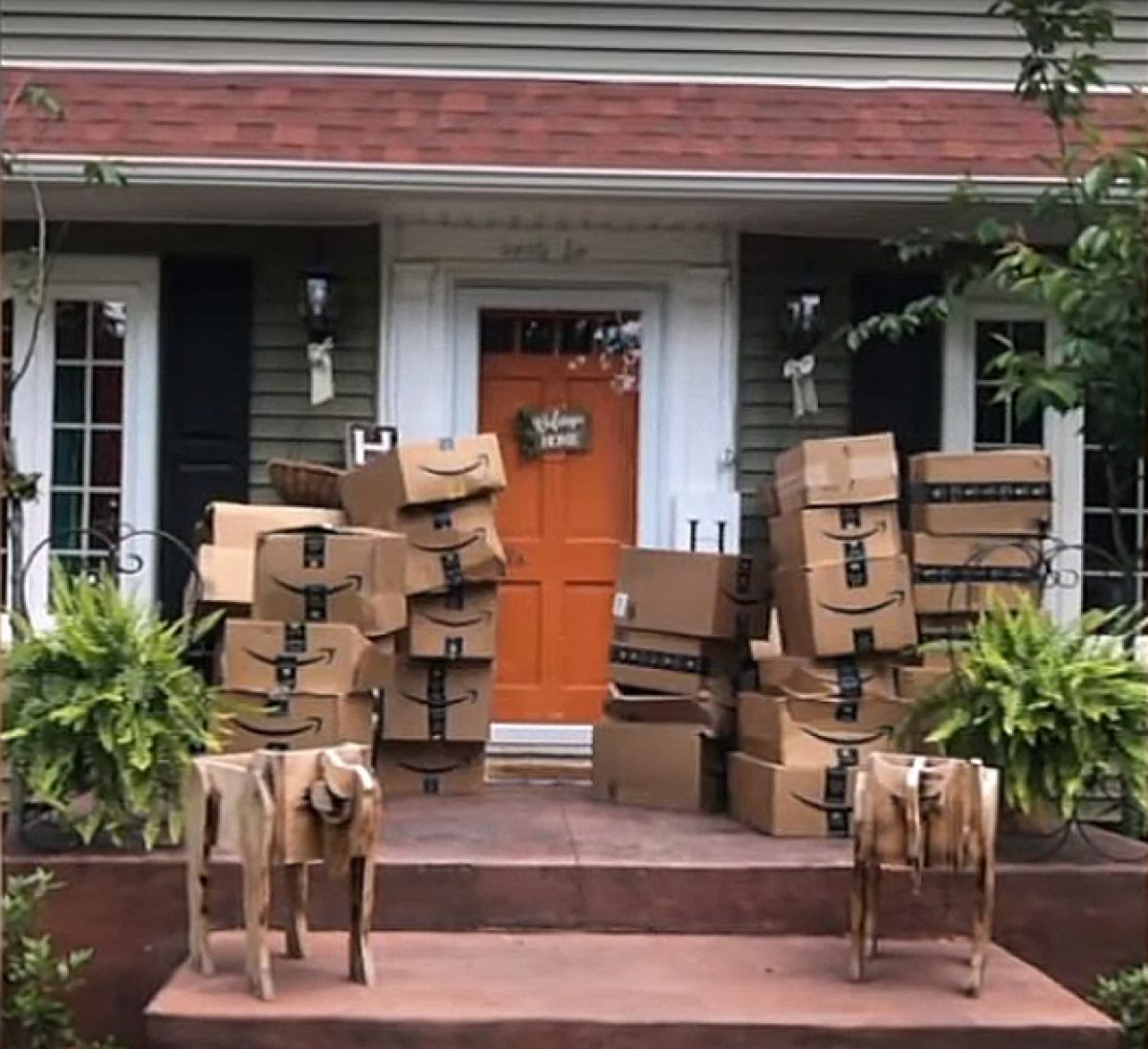 Noticia: Mujer recibe por error 150 paquetes de Amazon y decide donarlos a hospitales Mujer recibe por error 150 paquetes de Amazon y decide donarlos a hospitales
