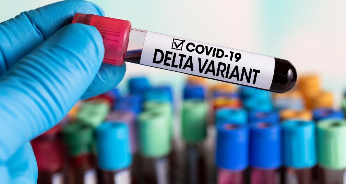 Noticia: ¡ÚLTIMA HORA! Reportan más casos de variante delta en Ecuador ¡ÚLTIMA HORA! Reportan más casos de variante delta en Ecuador