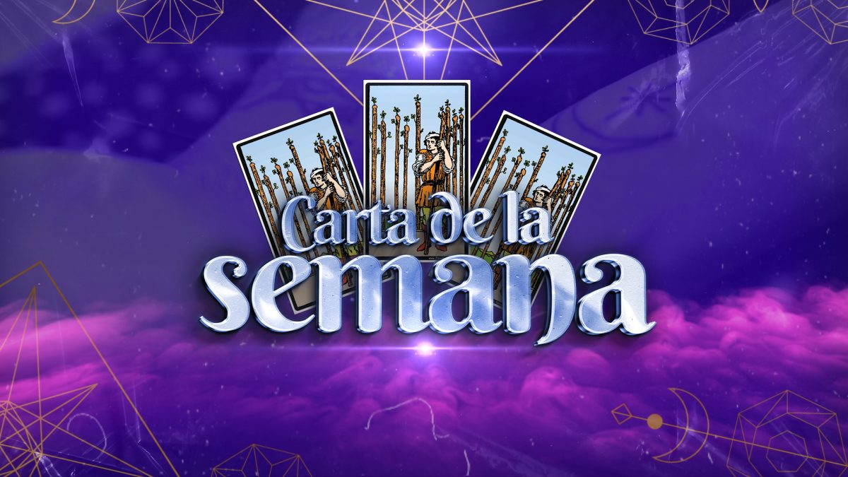 Noticia: Carta de la Semana -12 al 18 de julio Carta de la Semana -12 al 18 de julio