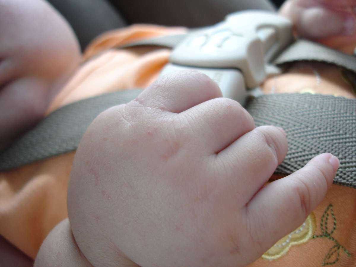 Noticia: Niña de dos años es olvidada en el carro y muere por el calor Niña de dos años es olvidada en el carro y muere por el calor