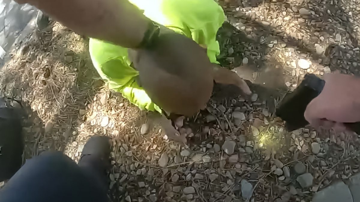 Noticia: Un policía golpea con su pistola en la cabeza a un sospechoso que no pone resistencia Un policía golpea con su pistola en la cabeza a un sospechoso que no pone resistencia