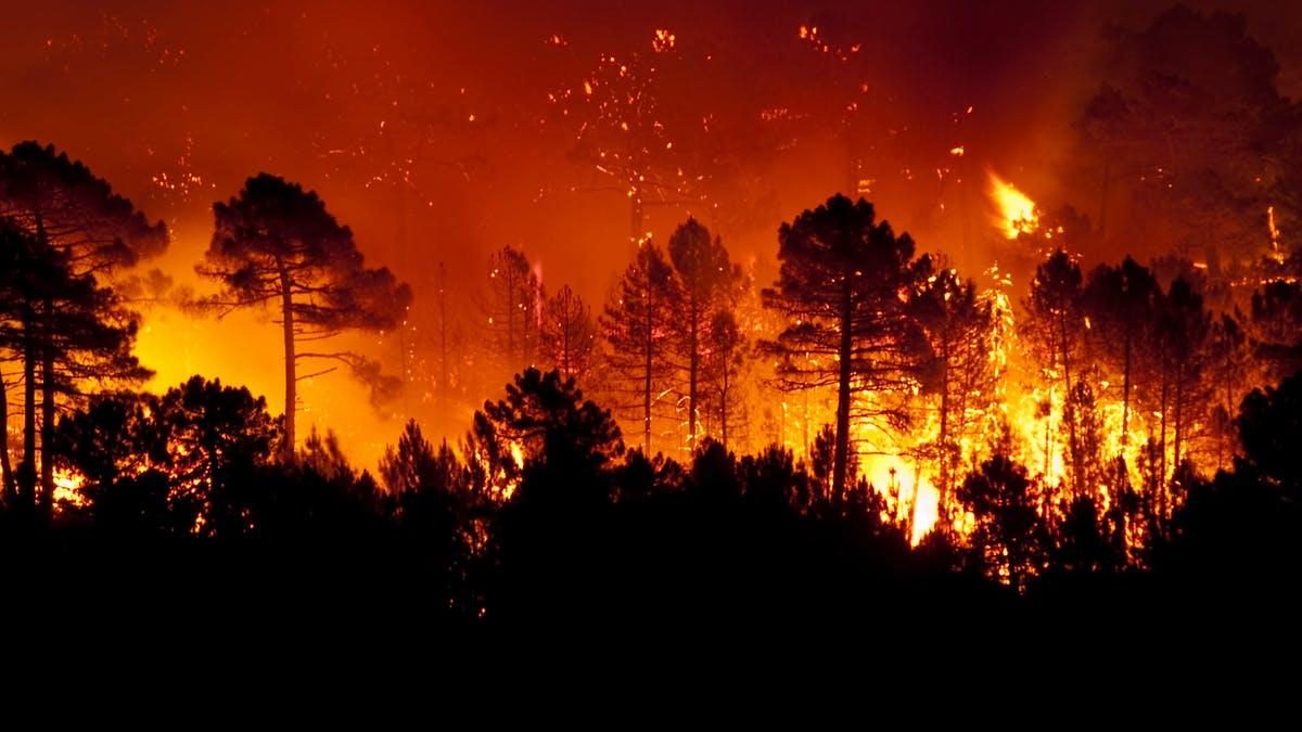 Noticia: Ocho desaparecidos en enorme incendio forestal de California Ocho desaparecidos en enorme incendio forestal de California