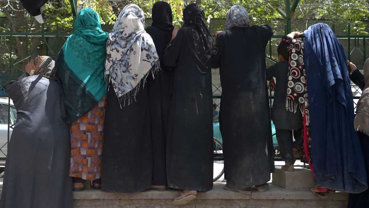 Noticia: Las mujeres autorizadas por los talibanes a ir a la universidad, pero separadas de los hombres Las mujeres autorizadas por los talibanes a ir a la universidad, pero separadas de los hombres