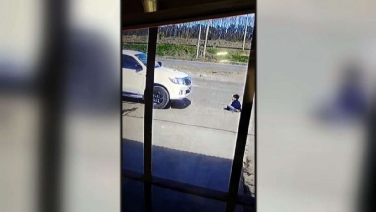 Noticia: Conductor atropelló a un niño de siete años pensando que era un perro Conductor atropelló a un niño de siete años pensando que era un perro