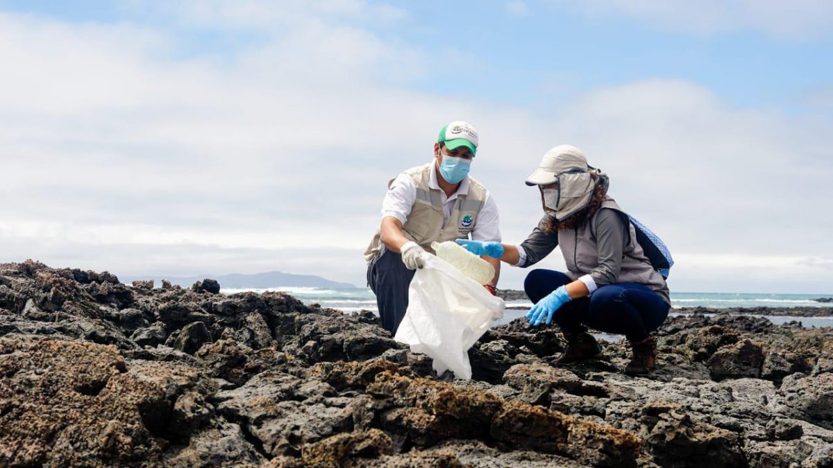 Noticia: Recolectan 1.627 kilos de desechos en las islas ecuatorianas de Galápagos Recolectan 1.627 kilos de desechos en las islas ecuatorianas de Galápagos