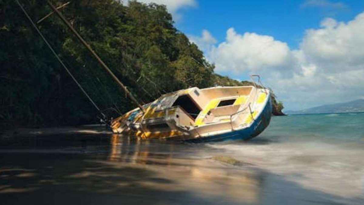 Noticia: Dos hombres sobreviven 29 días en el mar con "oraciones, naranjas y cocos" Dos hombres sobreviven 29 días en el mar con "oraciones, naranjas y cocos"