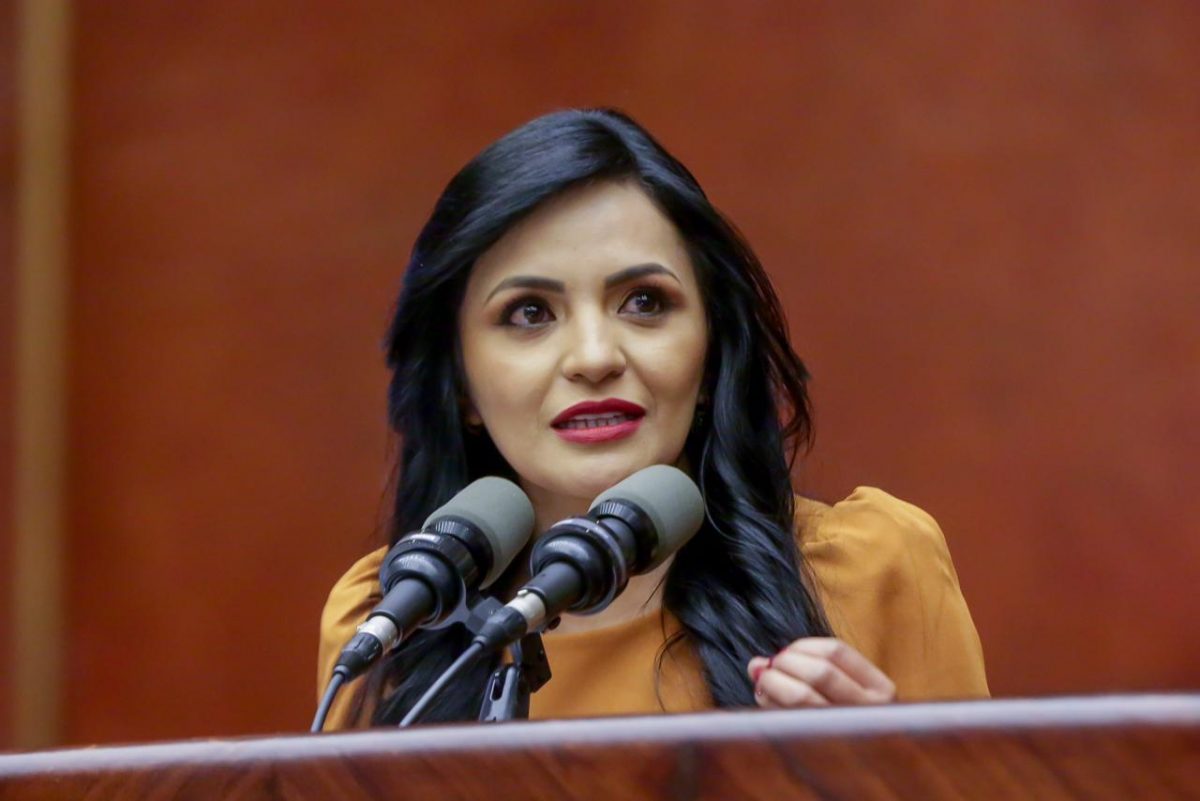 Noticia: Yeseña Guamaní es la nueva segunda vicepresidenta de la Asamblea Yeseña Guamaní es la nueva segunda vicepresidenta de la Asamblea