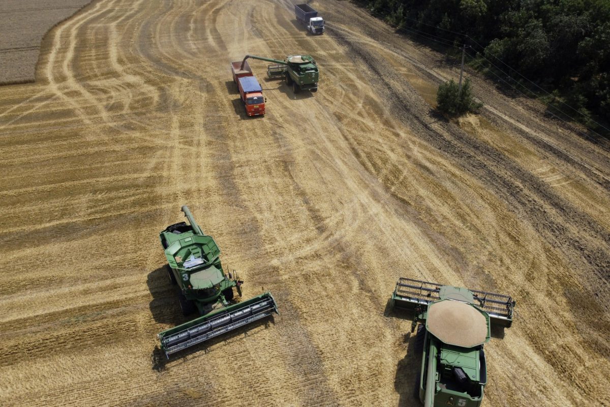 Noticia: Ucrania ha perdido el 25% de sus tierras cultivables por el conflicto bélico con Rusia Ucrania ha perdido el 25% de sus tierras cultivables por el conflicto bélico con Rusia