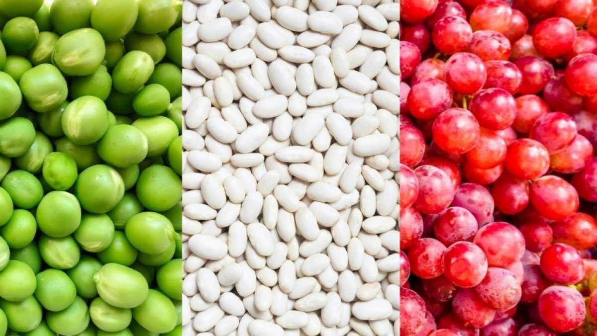 Noticia: ¿Tienes el colesterol alto? Esto es lo que puedes comer para regular los niveles ¿Tienes el colesterol alto? Esto es lo que puedes comer para regular los niveles
