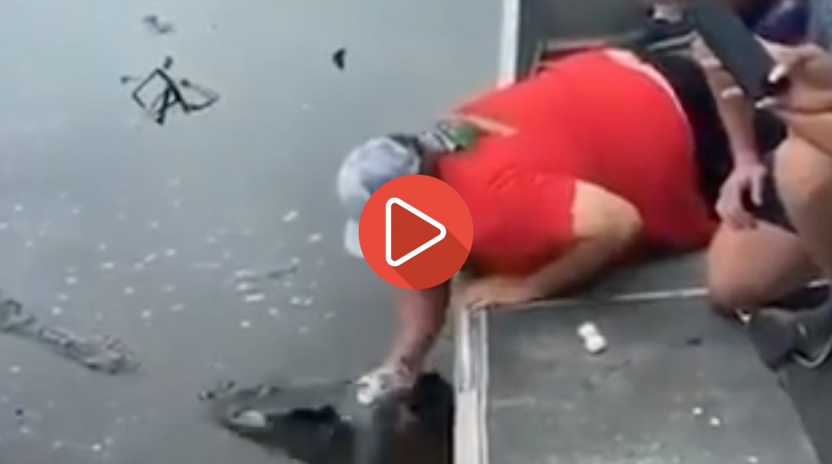 Noticia: Una persona logra abrir una lata de cerveza con los dientes de un caimán Una persona logra abrir una lata de cerveza con los dientes de un caimán
