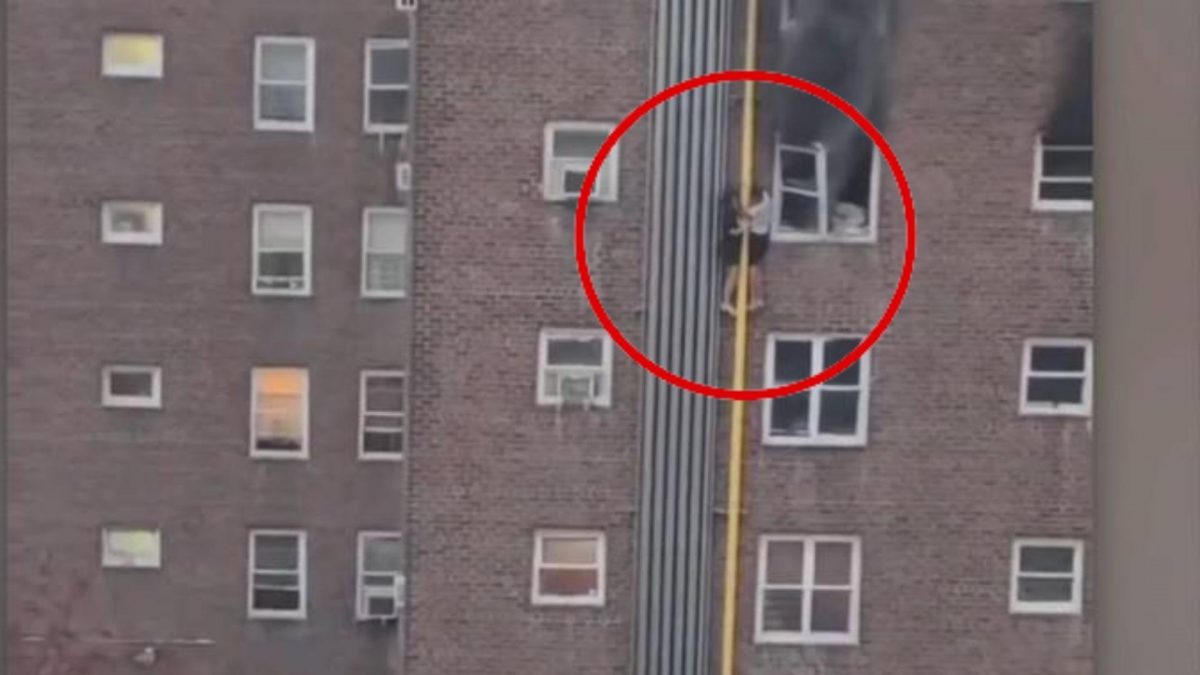 Noticia: Nueva York: Adolescentes escapan con arriesgada maniobra desde edificio en llamas Nueva York: Adolescentes escapan con arriesgada maniobra desde edificio en llamas