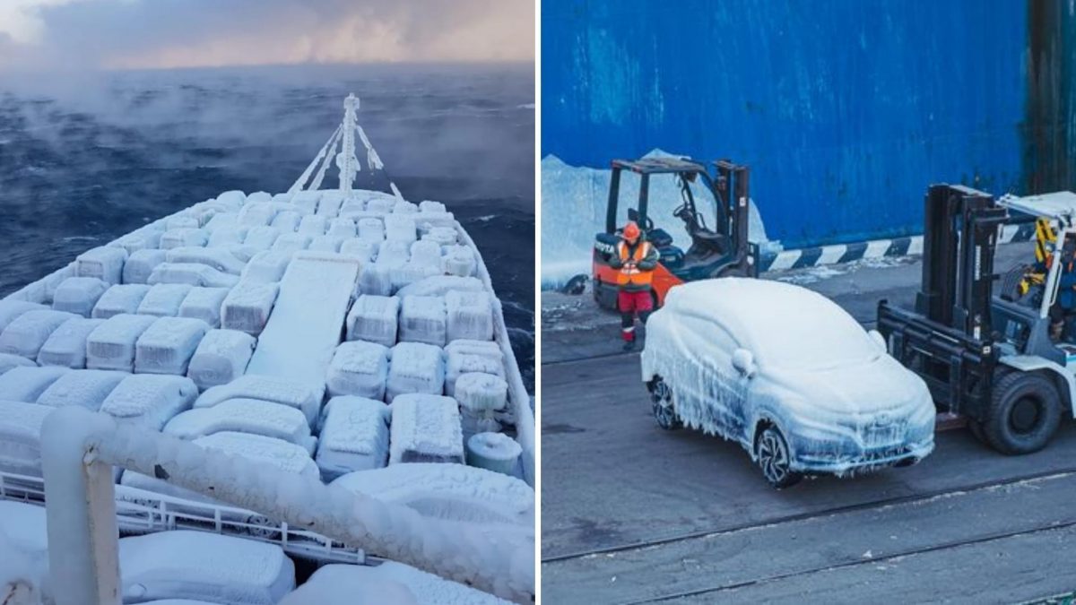 Un barco repleto de carros nuevos llega a Rusia congelado