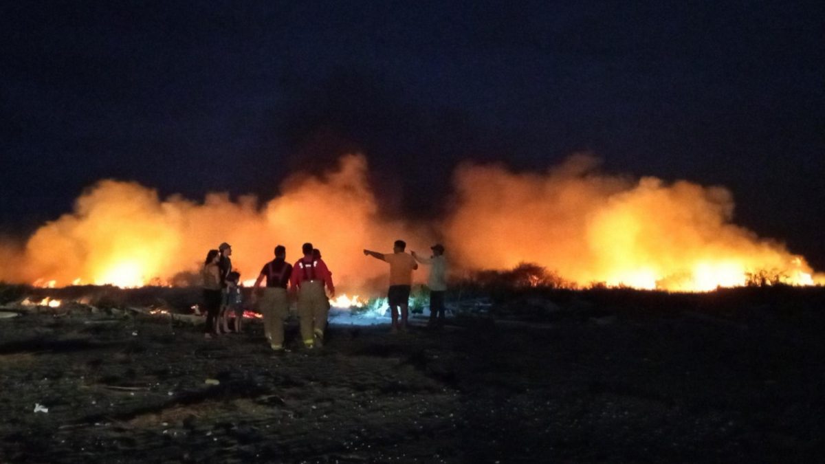 Noticia: Incendio forestal en Manabí consumió 30 hectáreas de vegetación Incendio forestal en Manabí consumió 30 hectáreas de vegetación