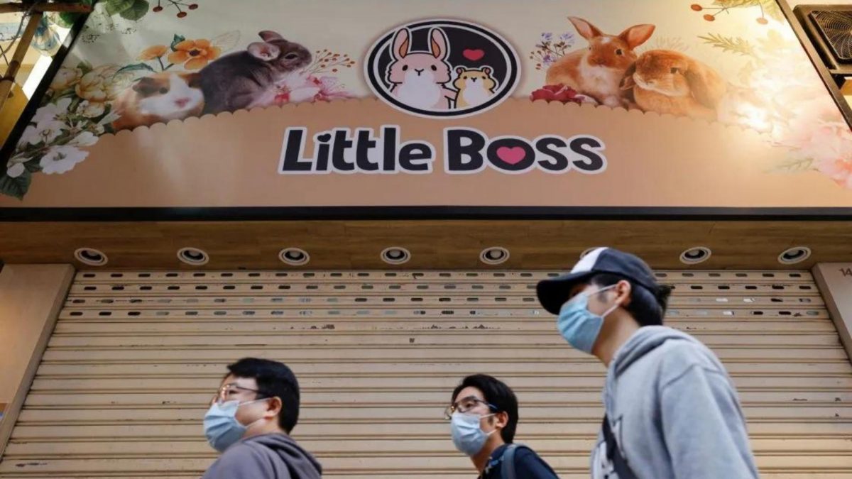 Noticia: Sacrifican mascotas en Hong Kong por temor a la transmisión del Covid-19 Sacrifican mascotas en Hong Kong por temor a la transmisión del Covid-19