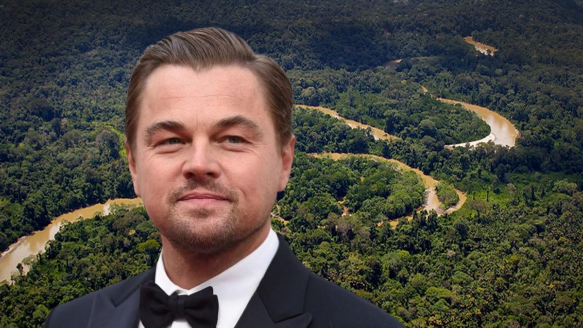 Noticia: DiCaprio envía mensaje a Ecuador por la Amazonía: "se hará historia" DiCaprio envía mensaje a Ecuador por la Amazonía: "se hará historia"