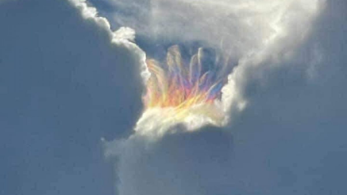Noticia: Captan un extraño ‘arcoiris de fuego’ en Florida Captan un extraño ‘arcoiris de fuego’ en Florida