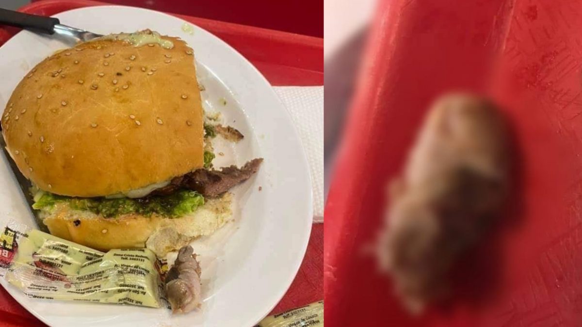 Noticia: Polémica en Bolivia por dedo humano encontrado en una hamburguesa Polémica en Bolivia por dedo humano encontrado en una hamburguesa