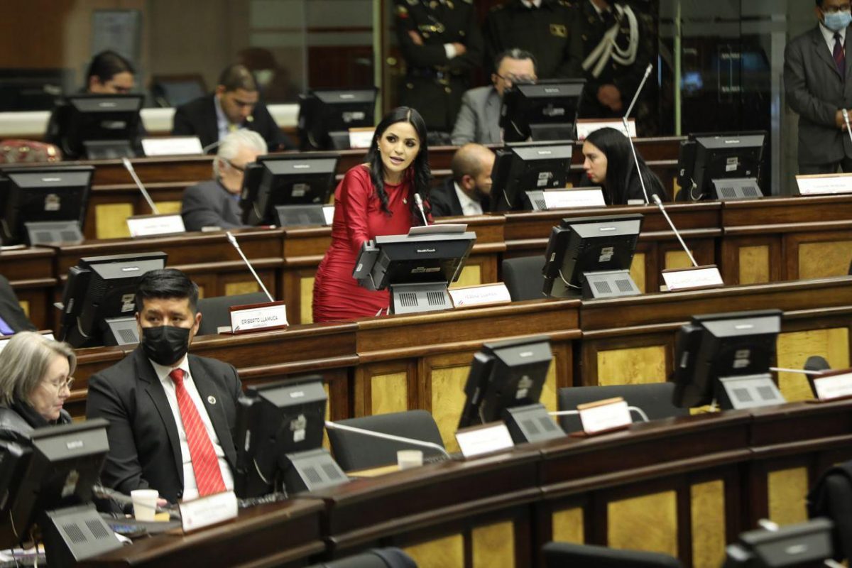 Noticia: Yeseña Guamaní es destituida como segunda vicepresidenta de la Asamblea Yeseña Guamaní es destituida como segunda vicepresidenta de la Asamblea