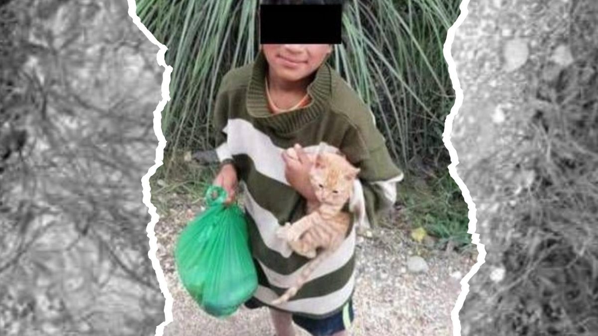 Noticia: Ecuador: Niño intentaba vender su gata para ir a la escuela y ayudar a su mamá Ecuador: Niño intentaba vender su gata para ir a la escuela y ayudar a su mamá
