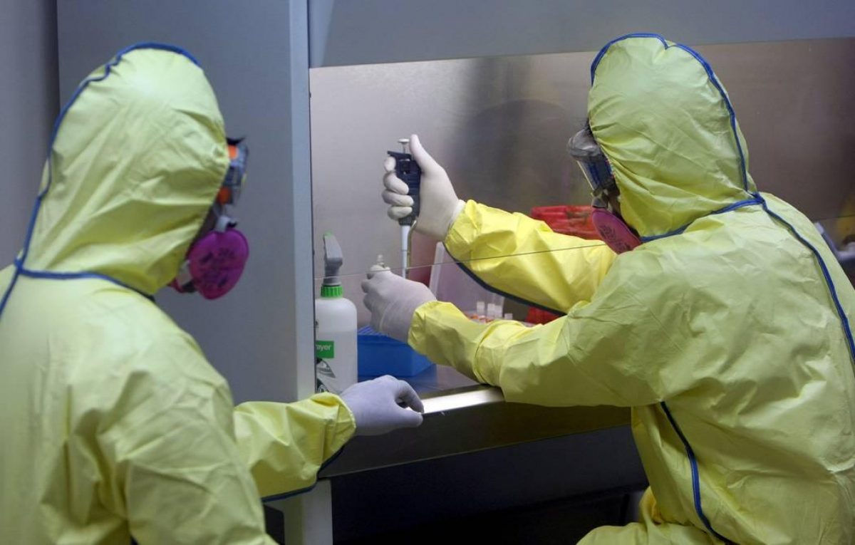 Noticia: Desarrollan tests para detectar la viruela del mono Desarrollan tests para detectar la viruela del mono