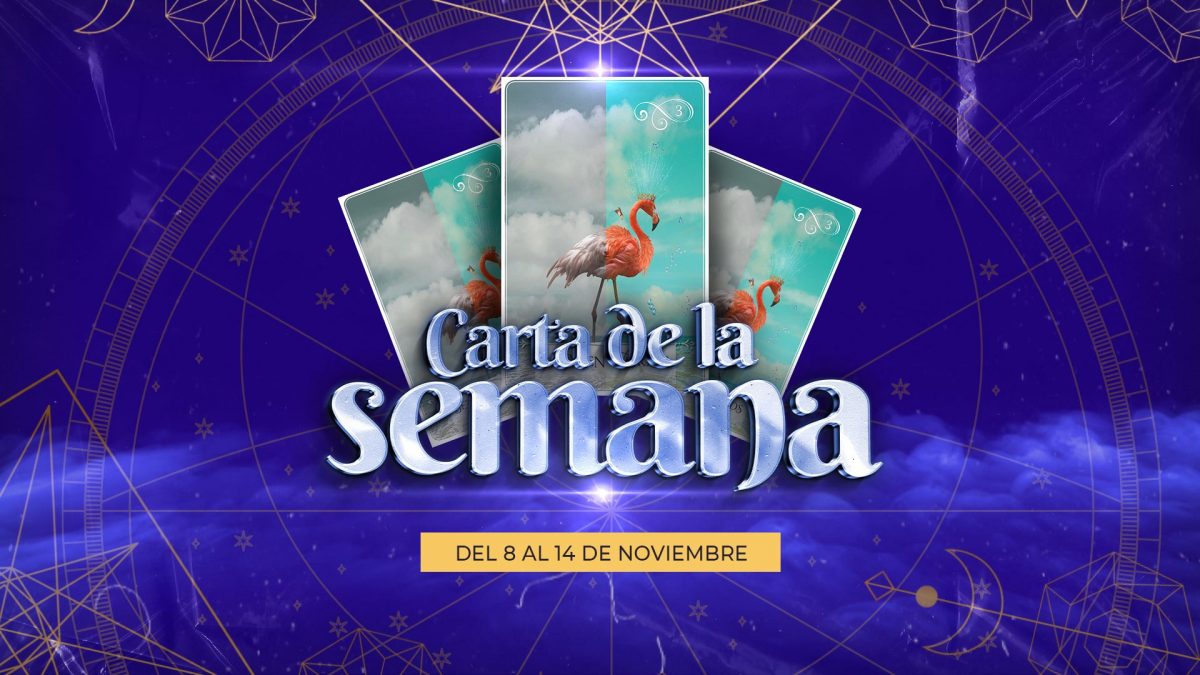 Noticia: Carta de la semana - 8 al 14 de noviembre Carta de la semana - 8 al 14 de noviembre