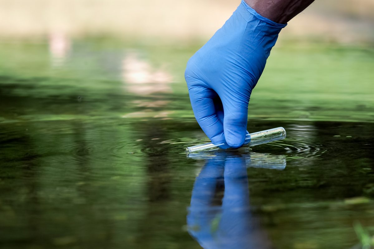 Noticia: Descubren cuánto tiempo puede sobrevivir el coronavirus en el agua Descubren cuánto tiempo puede sobrevivir el coronavirus en el agua