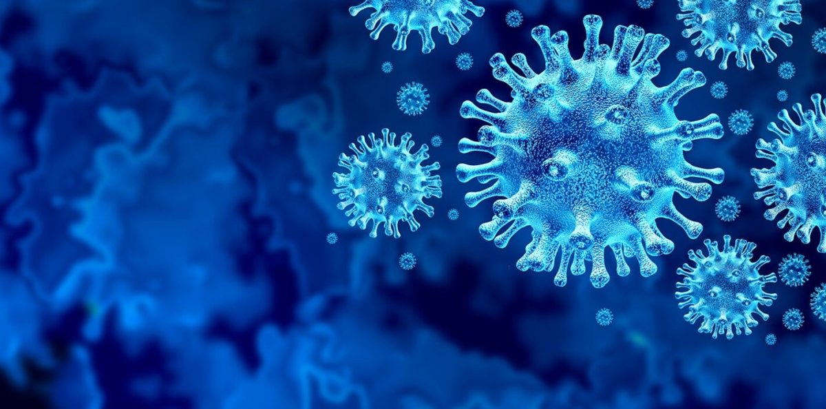 Noticia: Alemania afirma que es muy probable que la variante Ómicron haya llegado a su país Alemania afirma que es muy probable que la variante Ómicron haya llegado a su país